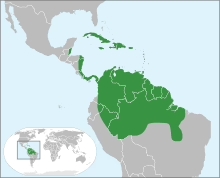 Caratteristiche Olio di andiroba 6